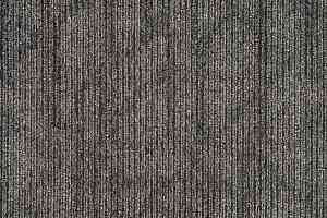 Ковровая плитка Art Exposure Коллекция Trusted Guide Trusted Guide 989 фото  | FLOORDEALER